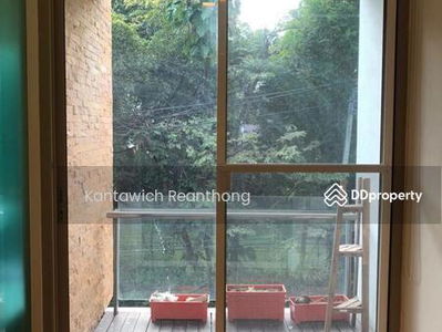 Ficus Lane, Bangkok, Thailand Ficus Lane, Bangkok, Thailand