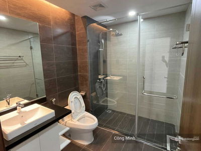 The Golden Armor, Vietnam The Golden Armor, Vietnam