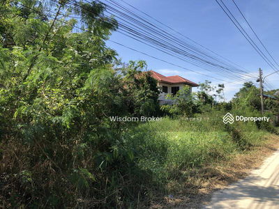 Empty land for rent, 200 square meters, Soi 9/1, Khlong Sam Road, Pathum Thani., Thailand Empty land for rent, 200 square meters, Soi 9/1, Khlong Sam Road, Pathum Thani., Thailand