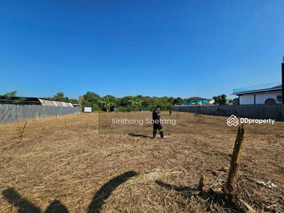 Land has been filled in, 365 square wah, Soi Ruamchit, Bang Waek Road, Bang Phai Subdistrict, Bang Khae District, near the Blue Skytrain, Lak Song, Bangkok., Thailand Land has been filled in, 365 square wah, Soi Ruamchit, Bang Waek Road, Bang Phai Subdistrict, Bang Khae District, near the Blue Skytrain, Lak Song, Bangkok., Thailand