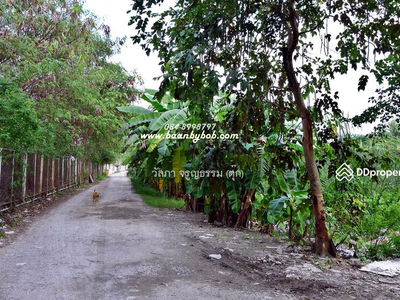 Land for rent Next to Phahonyothin Road, inbound side, area 4-3-52 rai, Khlong Nueng Subdistrict, Khlong Luang, opposite Thammasat University, Pathum Thani., Thailand Land for rent Next to Phahonyothin Road, inbound side, area 4-3-52 rai, Khlong Nueng Subdistrict, Khlong Luang, opposite Thammasat University, Pathum Thani., Thailand