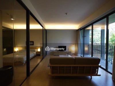 Siamese Gioia, Bangkok, Thailand Siamese Gioia, Bangkok, Thailand