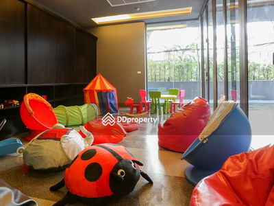 Siamese Gioia, Bangkok, Thailand Siamese Gioia, Bangkok, Thailand