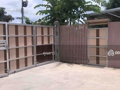 ASRP0463, Chiang Mai, Thailand ASRP0463, Chiang Mai, Thailand