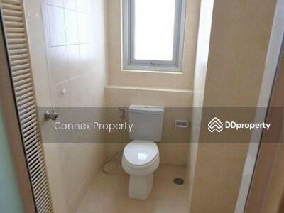 Ivy River, Bangkok, Thailand Ivy River, Bangkok, Thailand