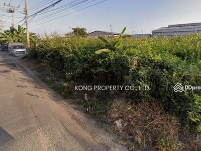 Land for rent, Mahachai, Setthakit Road 1, Rama 2, Muang Samut Sakhon, area 5 rai, Samut Sakhon, Thailand Land for rent, Mahachai, Setthakit Road 1, Rama 2, Muang Samut Sakhon, area 5 rai, Samut Sakhon, Thailand