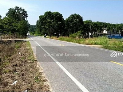 Land for rent purple zone near Amata Industrial city at Rayong Province, Rayong, Thailand Land for rent purple zone near Amata Industrial city at Rayong Province, Rayong, Thailand