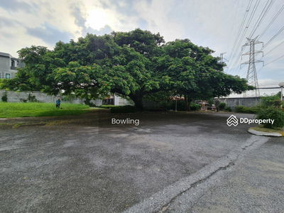 Empty land for rent, next to the road, Soi Thian Talay 10, Rama 2, 272 wa, suitable for business, Bangkok, Thailand Empty land for rent, next to the road, Soi Thian Talay 10, Rama 2, 272 wa, suitable for business, Bangkok, Thailand