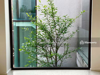 Baan Lux-Sathon, Bangkok, Thailand Baan Lux-Sathon, Bangkok, Thailand