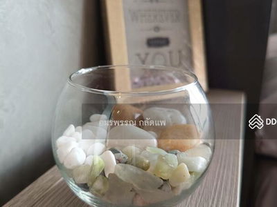 Elio Del Mos Phaholyothin 34, Bangkok, Thailand Elio Del Mos Phaholyothin 34, Bangkok, Thailand