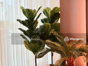 Noble Remix 2 Thonglor, Bangkok, Thailand Noble Remix 2 Thonglor, Bangkok, Thailand