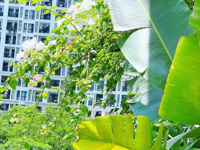 Royal City, Vietnam Royal City, Vietnam