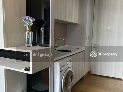 The Lumpini 24, Bangkok, Thailand The Lumpini 24, Bangkok, Thailand