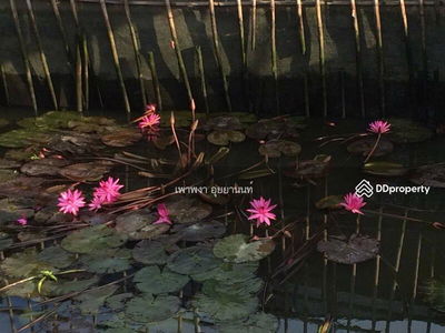 Traditional Thai house at Klong Bangkoknoi, Bangyai Nonthaburi, Nonthaburi, Thailand Traditional Thai house at Klong Bangkoknoi, Bangyai Nonthaburi, Nonthaburi, Thailand