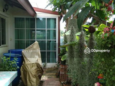 House for rent 2 storey on the road "9 kilo" Near St. Paul's Convent School Sriracha, Chon Buri, Thailand House for rent 2 storey on the road "9 kilo" Near St. Paul's Convent School Sriracha, Chon Buri, Thailand