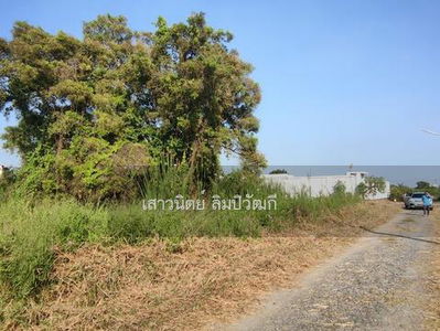 Khu Khot, Pathum Thani, Thailand Khu Khot, Pathum Thani, Thailand