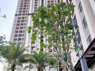 Opal Skyline, Vietnam Opal Skyline, Vietnam