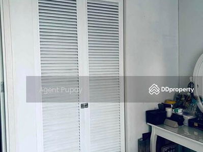 Condo for rent The Sense Sukhumvit (SPSAM1268), Bangkok, Thailand Condo for rent The Sense Sukhumvit (SPSAM1268), Bangkok, Thailand