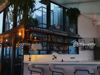 Siamese Exclusive Queens, Bangkok, Thailand Siamese Exclusive Queens, Bangkok, Thailand