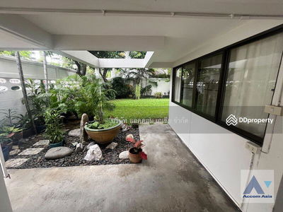Garden, Pet friendly | 3 Bedrooms House for Sale and Rent in Sukhumvit, Bangkok near BTS Thong Lo, Bangkok, Thailand Garden, Pet friendly | 3 Bedrooms House for Sale and Rent in Sukhumvit, Bangkok near BTS Thong Lo, Bangkok, Thailand