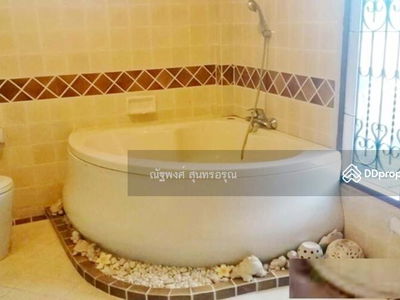 Guppy Tree Tunnel, Pak Chong, Nakhon Ratchasima, Thailand Guppy Tree Tunnel, Pak Chong, Nakhon Ratchasima, Thailand