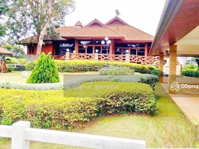 Guppy Tree Tunnel, Pak Chong, Nakhon Ratchasima, Thailand Guppy Tree Tunnel, Pak Chong, Nakhon Ratchasima, Thailand