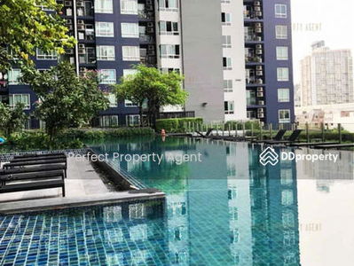 Condo for rent Base Sukhumvit 77, convenient travel. Near department stores, Bangkok, Thailand Condo for rent Base Sukhumvit 77, convenient travel. Near department stores, Bangkok, Thailand