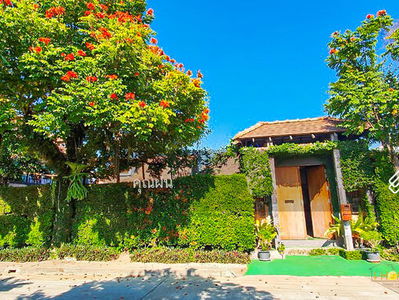 A8MG1728, Chiang Mai, Thailand A8MG1728, Chiang Mai, Thailand