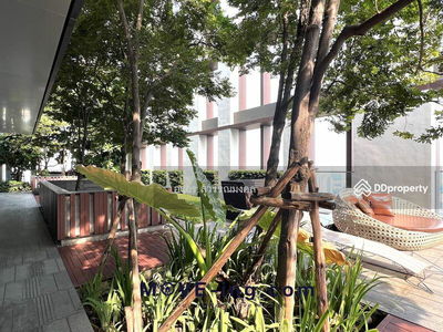 ASHTON Morph 38, Bangkok, Thailand ASHTON Morph 38, Bangkok, Thailand