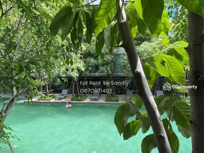 Vtara Sukhumvit 36, Bangkok, Thailand Vtara Sukhumvit 36, Bangkok, Thailand