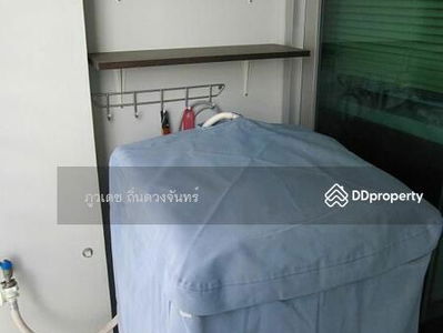 Ivy River, Bangkok, Thailand Ivy River, Bangkok, Thailand