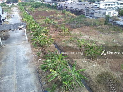 Land for rent Purple area, divided for rent, 1-4 rai, next to Setthakit Road 1, Om Noi, Krathum Baen, Samut Sakhon, Bangkok, Thailand Land for rent Purple area, divided for rent, 1-4 rai, next to Setthakit Road 1, Om Noi, Krathum Baen, Samut Sakhon, Bangkok, Thailand