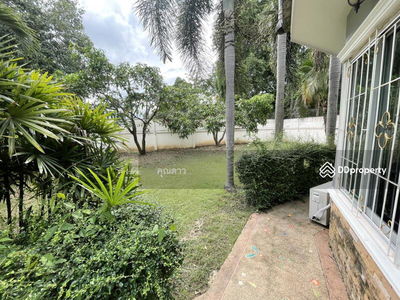 A5MG0123, Chiang Mai, Thailand A5MG0123, Chiang Mai, Thailand