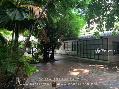 Sukhumvit, Bangkok, Thailand Sukhumvit, Bangkok, Thailand