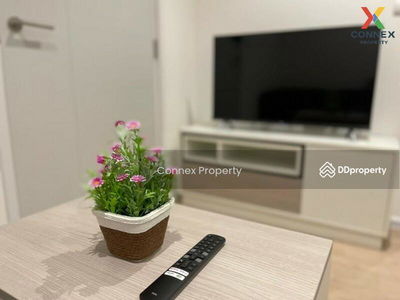 iCondo Serithai Green Space, Bangkok, Thailand iCondo Serithai Green Space, Bangkok, Thailand