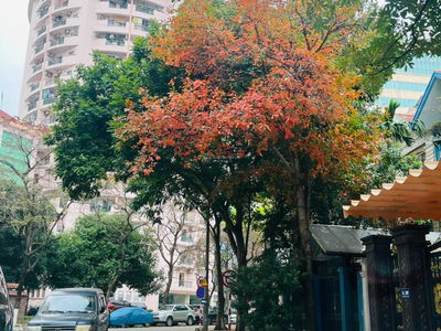 Thang Long International Village, Vietnam Thang Long International Village, Vietnam