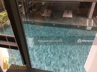 Siamese Gioia, Bangkok, Thailand Siamese Gioia, Bangkok, Thailand