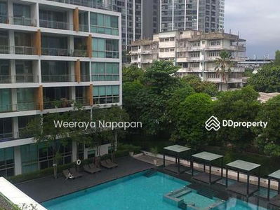 Ficus Lane, Bangkok, Thailand Ficus Lane, Bangkok, Thailand