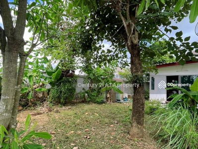 Lancio Crib Bowin Sriracha, Chon Buri, Thailand Lancio Crib Bowin Sriracha, Chon Buri, Thailand