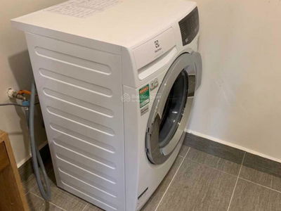 The Golden Palm Le Van Luong, Vietnam The Golden Palm Le Van Luong, Vietnam