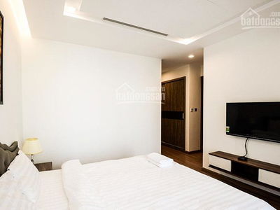 The Golden Armor, Vietnam The Golden Armor, Vietnam