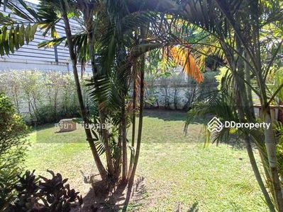 Ton20320 House for rent, large detached house with furniture., Khon Kaen, Thailand Ton20320 House for rent, large detached house with furniture., Khon Kaen, Thailand