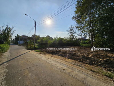 For rent!! Land 100 sq m. Free warehouse and office construction plan. Chaengwattana Road, Nonthaburi, Thailand For rent!! Land 100 sq m. Free warehouse and office construction plan. Chaengwattana Road, Nonthaburi, Thailand