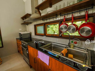 AMR0386, Chiang Mai, Thailand AMR0386, Chiang Mai, Thailand