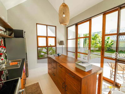 AMR0386, Chiang Mai, Thailand AMR0386, Chiang Mai, Thailand