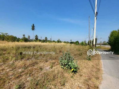 13555 Land for rent, 2 rai, Nong Khang Khok, Chon Buri, 5 km from the motorway, suitable for a warehouse, Chon Buri., Thailand 13555 Land for rent, 2 rai, Nong Khang Khok, Chon Buri, 5 km from the motorway, suitable for a warehouse, Chon Buri., Thailand