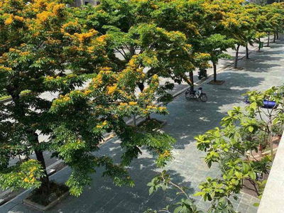 Gehäuse In Hanoi, Vietnam Gehäuse In Hanoi, Vietnam