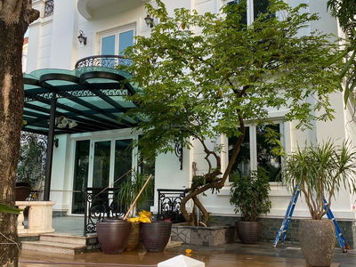 Vinhomes Riverside, Vietnam  Vinhomes Riverside, Vietnam