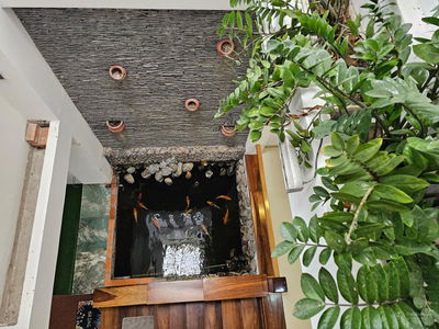 Gehäuse In Nha Trang, Vietnam Gehäuse In Nha Trang, Vietnam