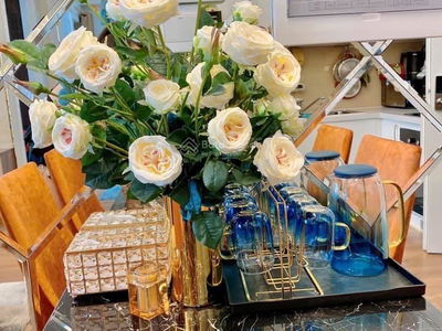 Saigon Mia, Vietnam Saigon Mia, Vietnam